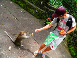 Matt feeding the Monkey