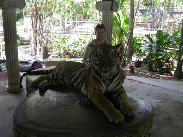 Mark with the Tiger