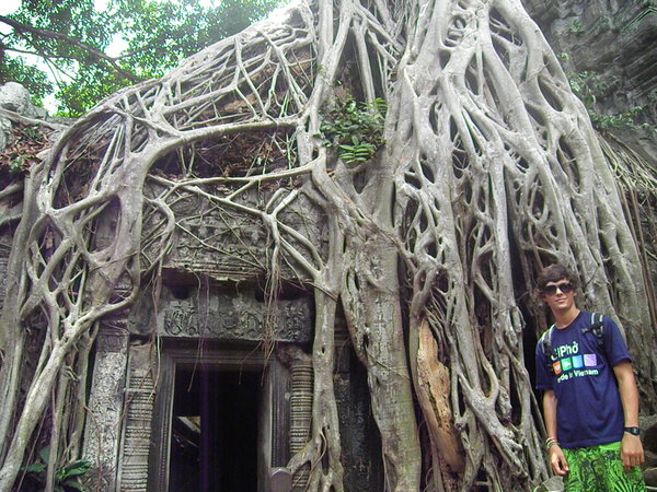A tree taking over Ta Prohm Temple