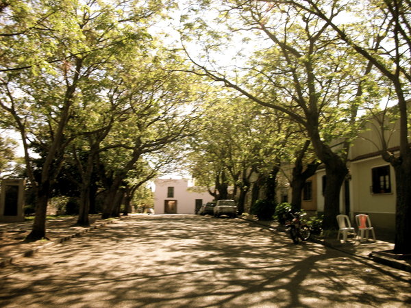 typical street in colonia
