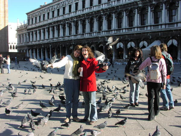 pigeons!
