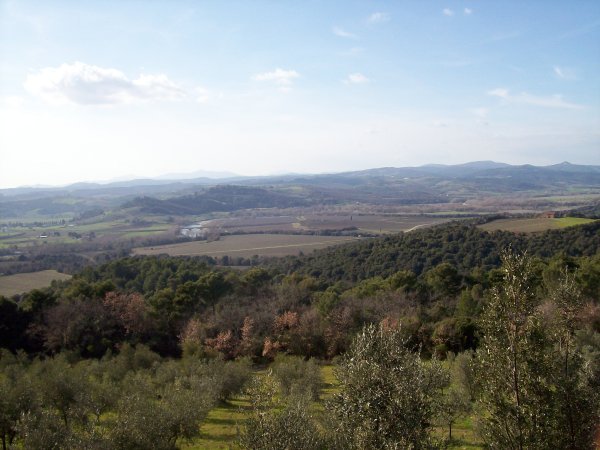 Countryside around Montalcino