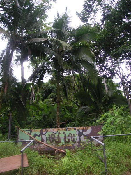 Old PanaJungle sign