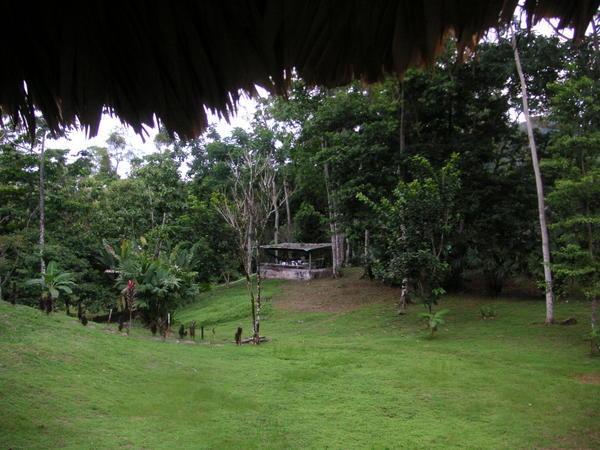 View of the Wekso ecolodge from our room's balcony