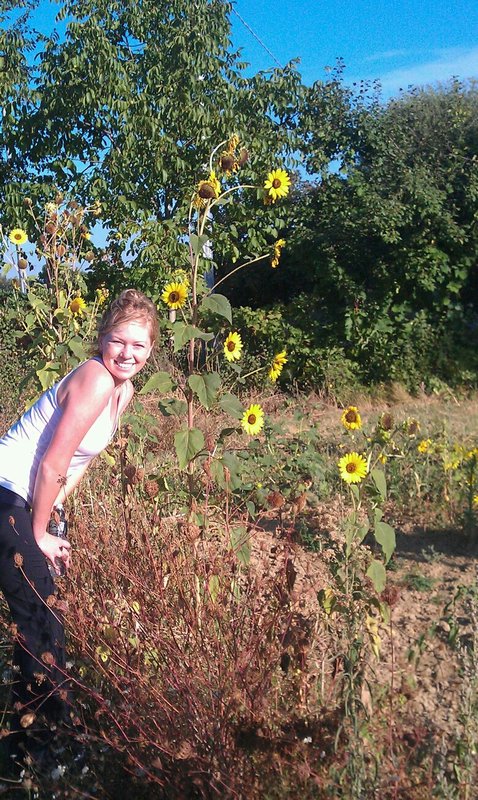 Sunflowers!