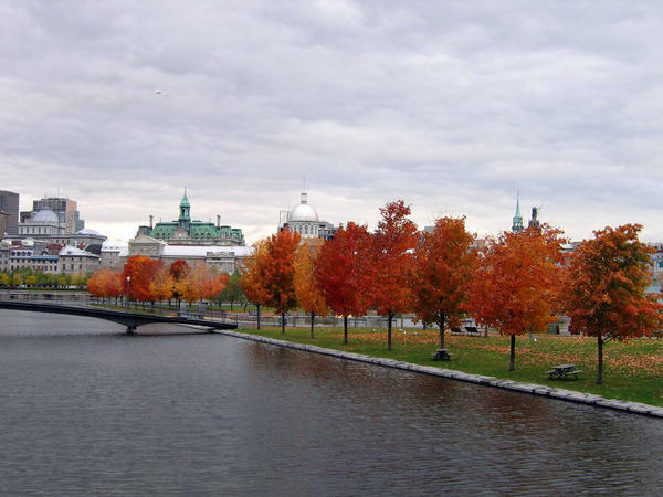 Montreal in the Fall