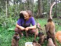 Paseo los Monos