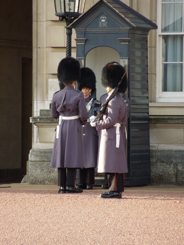 Guards of Buckingham Palace