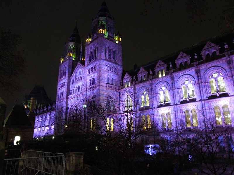 Natural History Museum at Night!