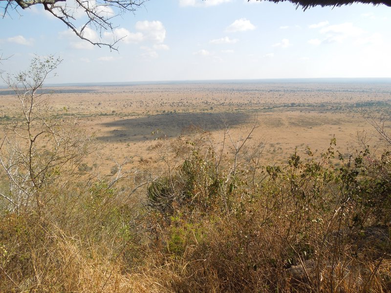 Looking out over southern Kruger