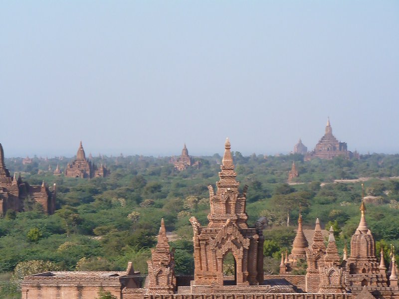 Bagan from the top of one temple