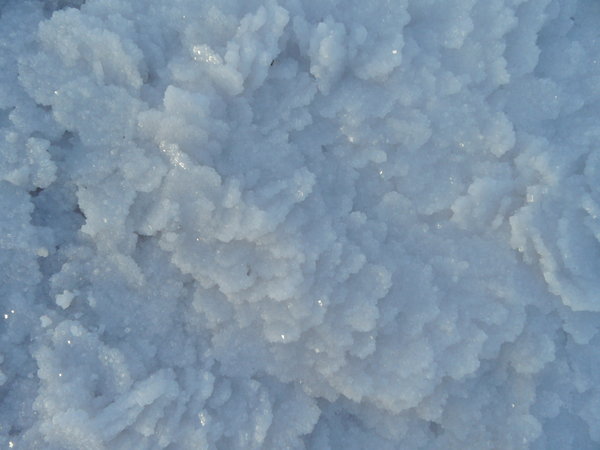 Lake Hart - Salt Crystals