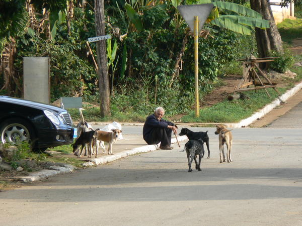 Dog Man in Cuba