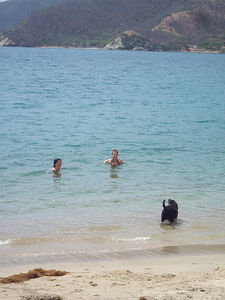 Cooter afraid to swim at Bahia Concha