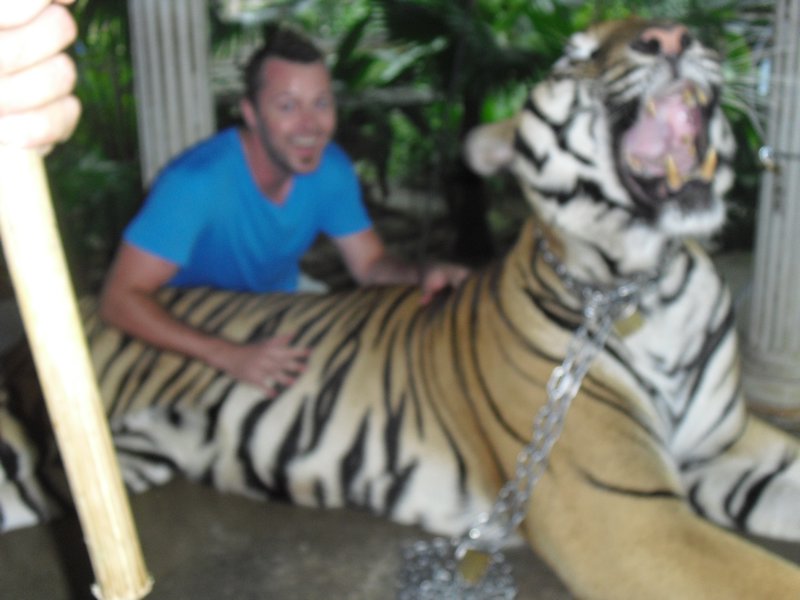 Me touching said tiger.