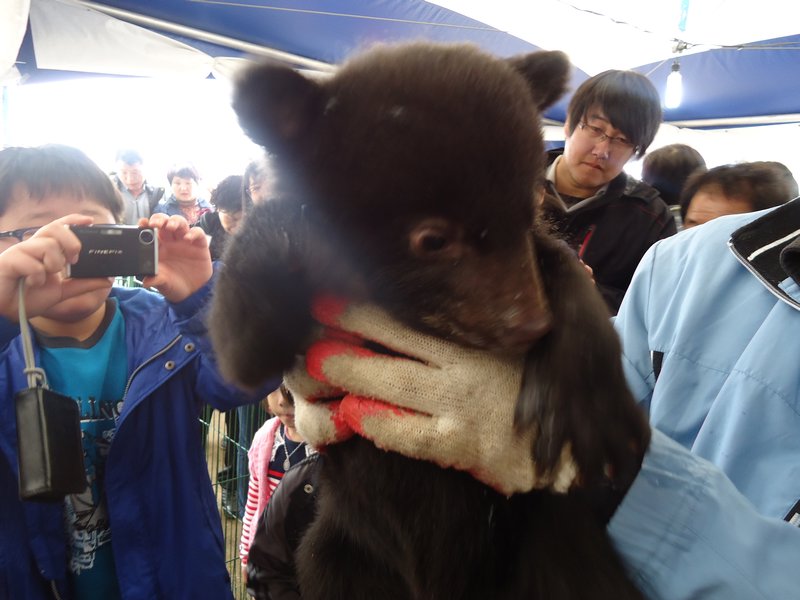 He got to pet a baby black bear.