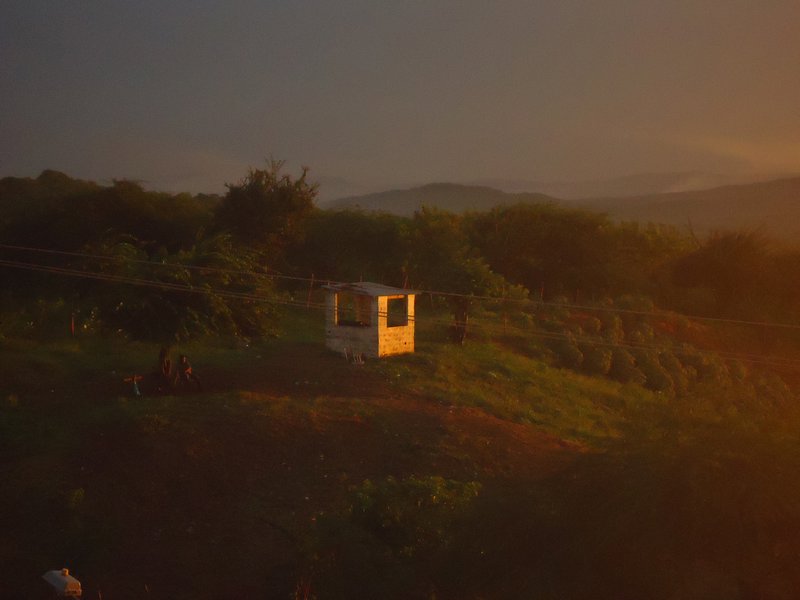 This weird little house outside our window