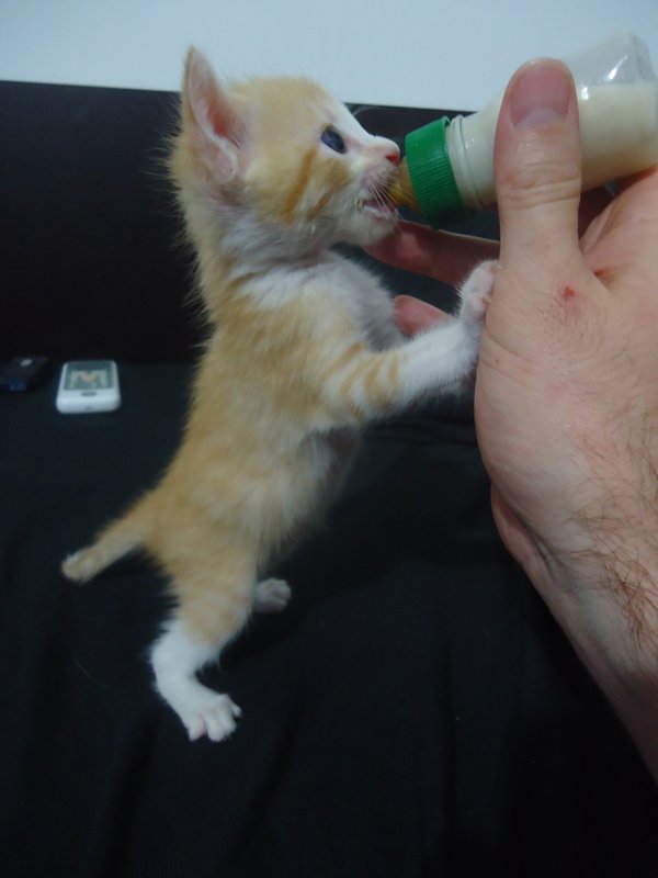 Drinking out of the bottle