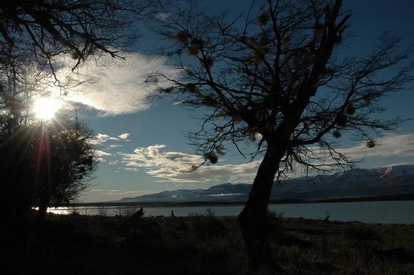 Lake Argentina in Patagonia
