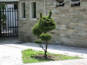 bush on campus