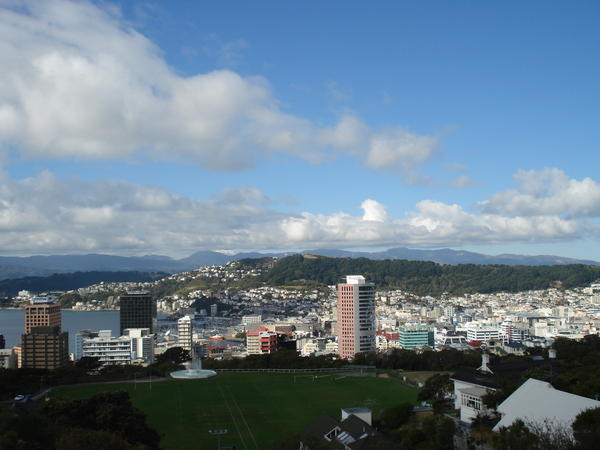 the veiw of wellington from the botanicle gardens