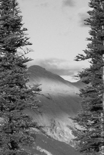 View from Banff Gondola