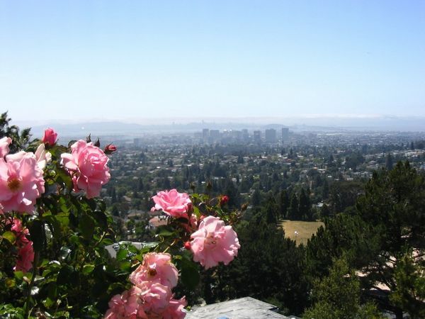View from the Oakland Temple