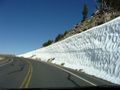 Snow still at the upper reaches of Crater Lake rim