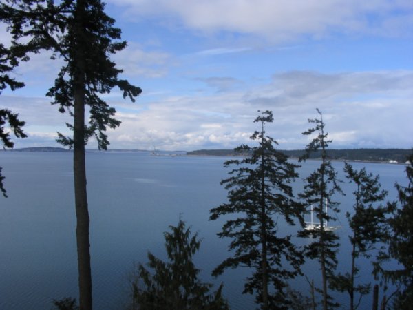Overlooking Port Townsend bay