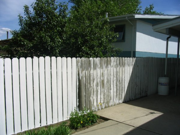 Our back fence needing the paint