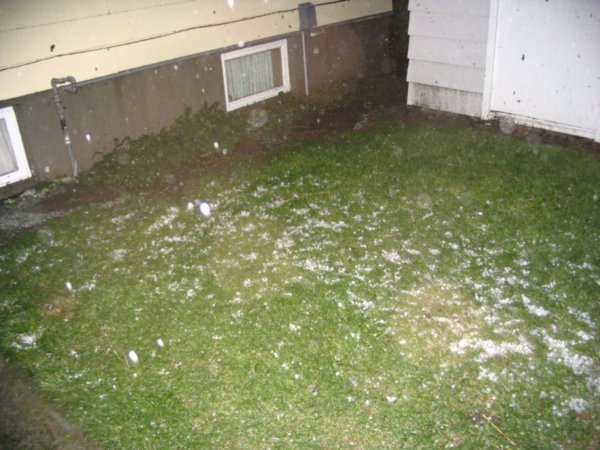Hail in the grass about 30 minutes after the storm