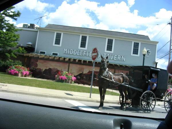 Amish Horse & Buggy 2