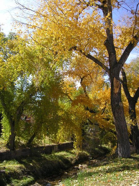 Fall colours in Santa Fe