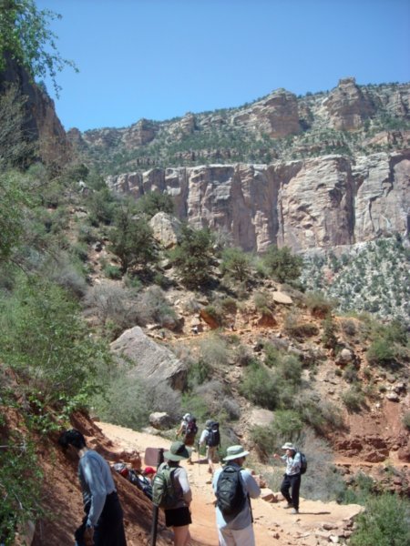 Descending into the Canyon