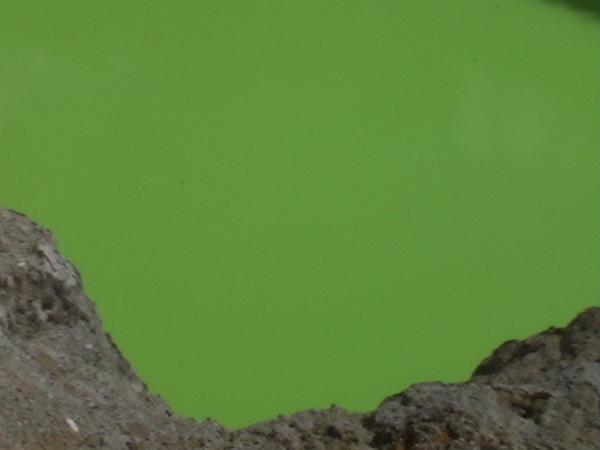 Bright Green Water bubbling from the Ground!