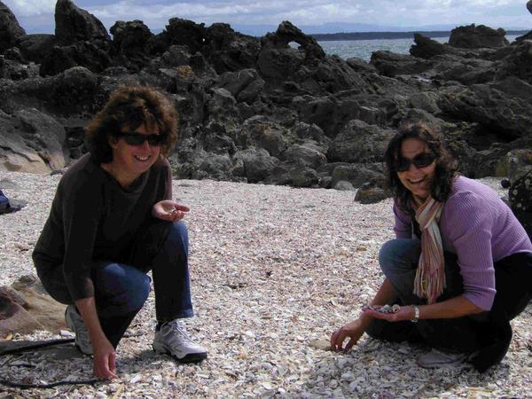 Collecting Shells with Karen
