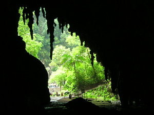 The oil bird cave at Caripe...