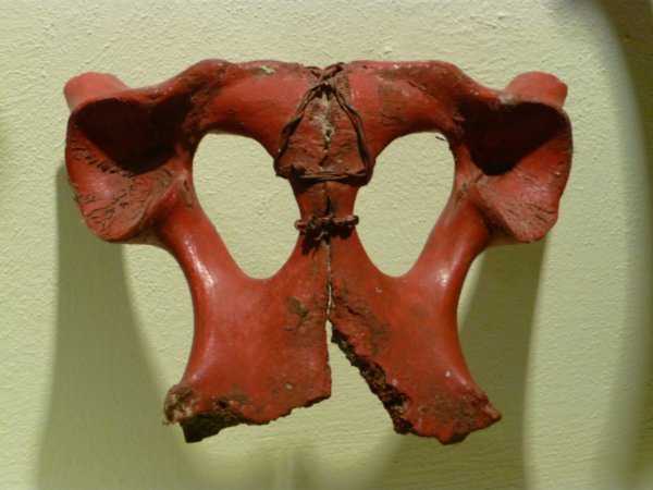 Freaky bone mask