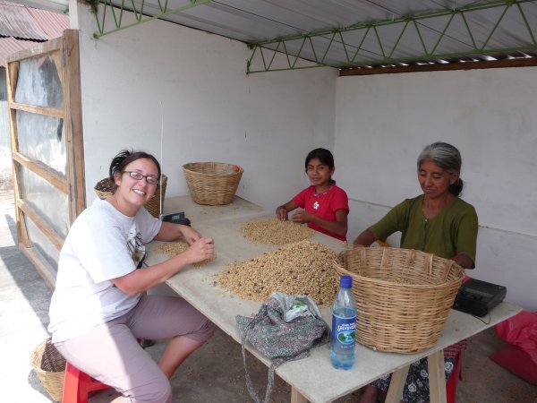 Sorting coffee beans with Albertina