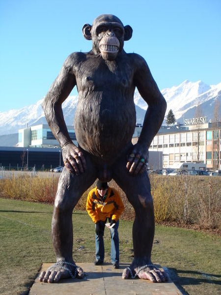 Evan and the Giant Monkey