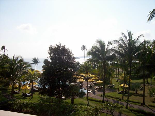A View From Our Room