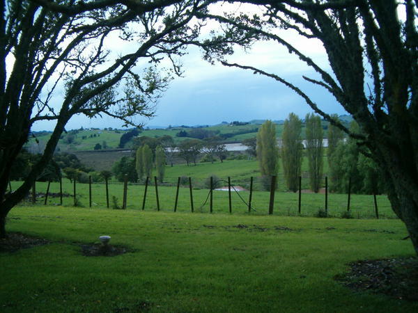 Matakohe Farm Land
