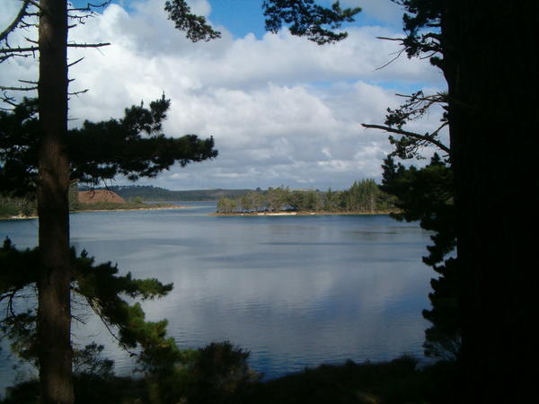 Kai Iwi Lake