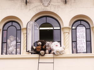 Nallekaupan ikkuna Christchurchissa