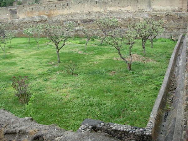 An enclosed orchard