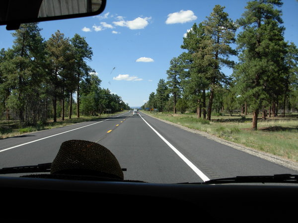 Driving into Flagstaff