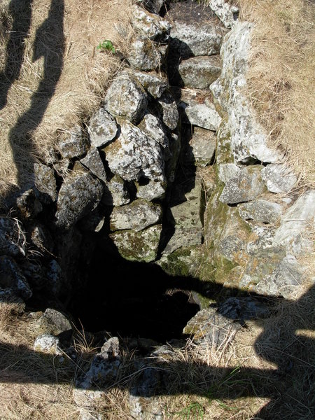 St. Tola's Well