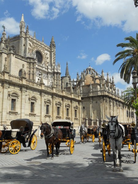 Carriage tours