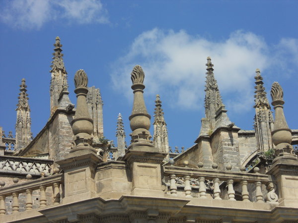 A forest of spires