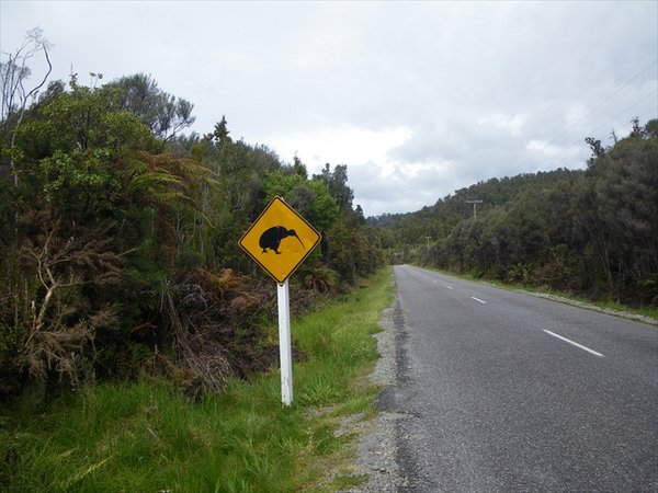 Kwi sign/ Kiwi bord (pas op voor overstekende Kiwi's)